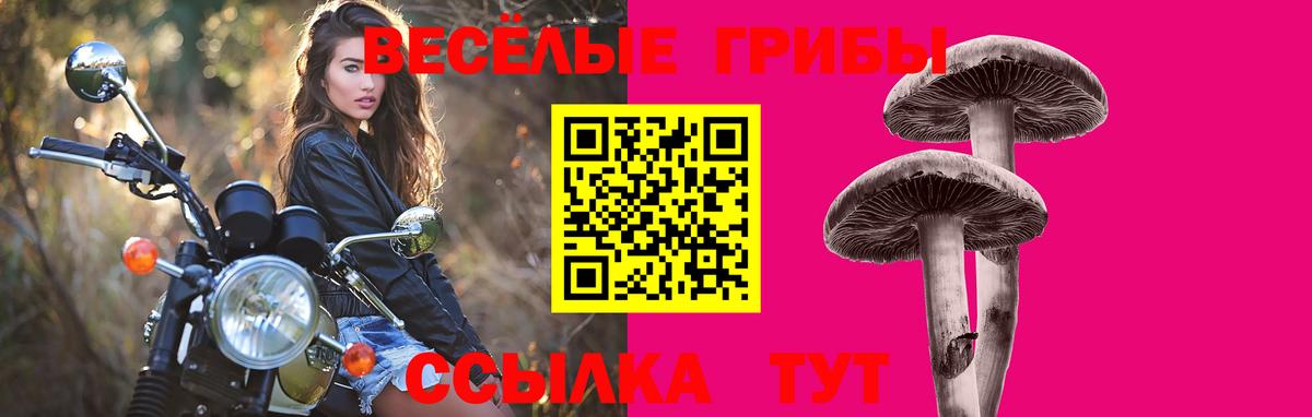 Галлюциногенные грибы прущие грибы  Вход с VPN  Владимир  Псилоцибиновые грибы прущие грибы 